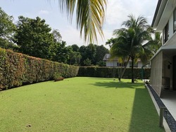 eng-neo-avenue photo thumbnail #9